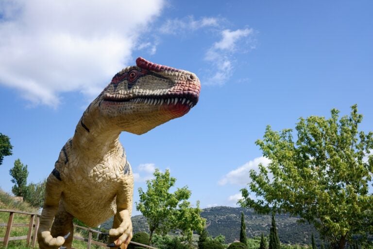 Allosaurus Facts