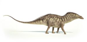 Amargasaurus Facts
