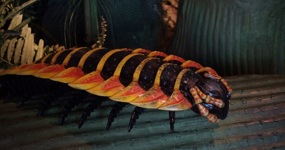 Arthropleura Facts